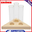 Transparent Glass Vase Wooden Frame Bonsai Desktop Ornaments Home Office Decor