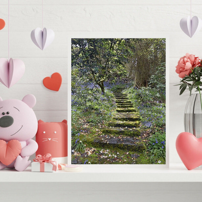 Forest Path Drawing Frameless DIY Oil Paint by Numbers Canvas Home Decor Newly