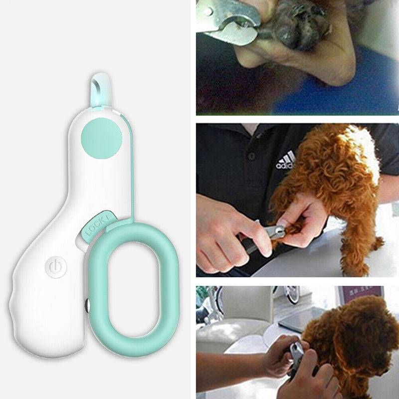 Pet Nail Clipper LED Light Dogs Cats Nail Toe Claw Cutter Scissors (Blue) Newly