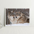 Full Embroidery Snow Wolf 3-Beach 11CT Printed Cross Stitch Cotton DIY Kit