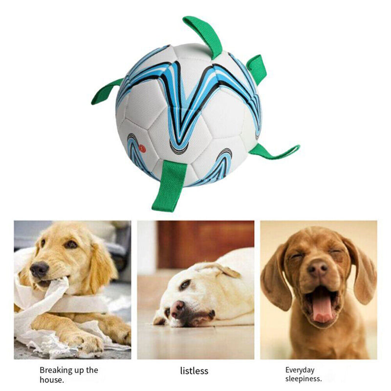Rubber Dog Football Toys Puppy Chewing Pets Interactive Outdoor Paly Balls Newly