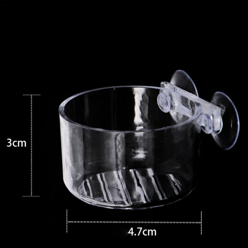 Fish Tank Acrylic Red Worm Cup Aquarium Suction Cup Hanging Floating Container