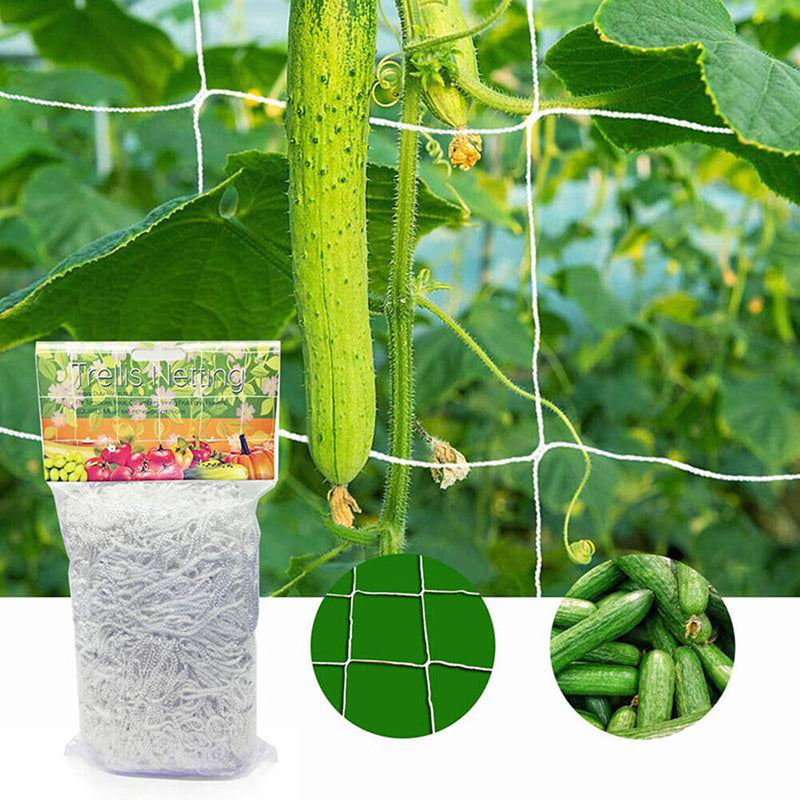 1.67x5m Garden Plants Climbing Net Polyester Cucumbers Vine Stand Trellis Net