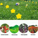 #A 10pcs Strong Flies Traps Bugs Sticky Board Catching Aphid Insects Killer