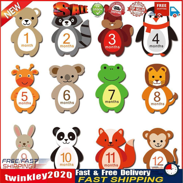 12pcs/Set Baby Photo Milestone Card Newborn Monthly Stickers (TZ-DW1-YF) Newly