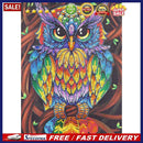5D DIY Special Shaped Diamond Painting Owl Cross Stitch Craft Kit Home Wall