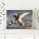 Wild Duck on Lake Oil Paint By Numbers Kit DIY Acrylic Painting on Canvas D