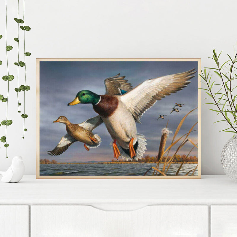 Wild Duck on Lake Oil Paint By Numbers Kit DIY Acrylic Painting on Canvas D