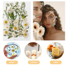 Dried Flower Material Package Real Pressed Dry Flowers & Leaves (White) Newly