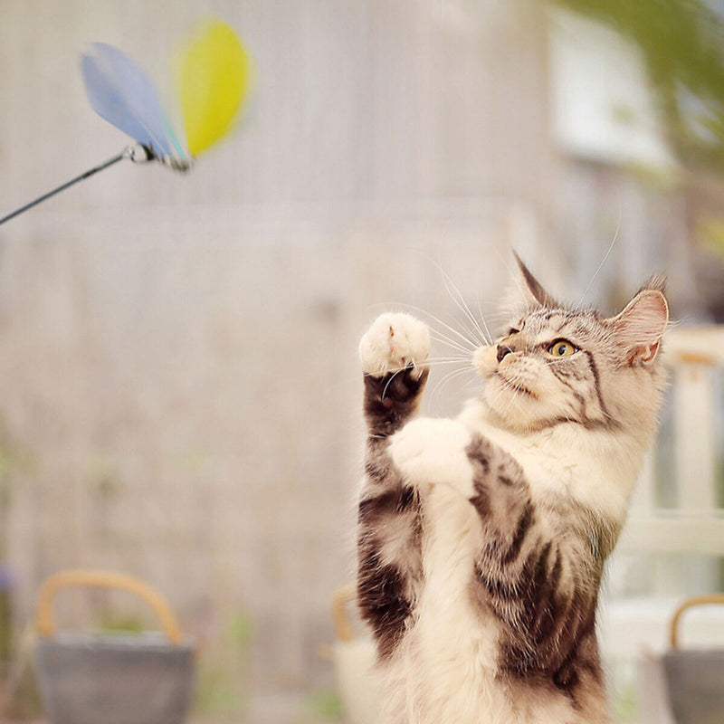 Cat Wand Toys - Durable Pole with High Strength & Toughness Ideal Toys for Pets