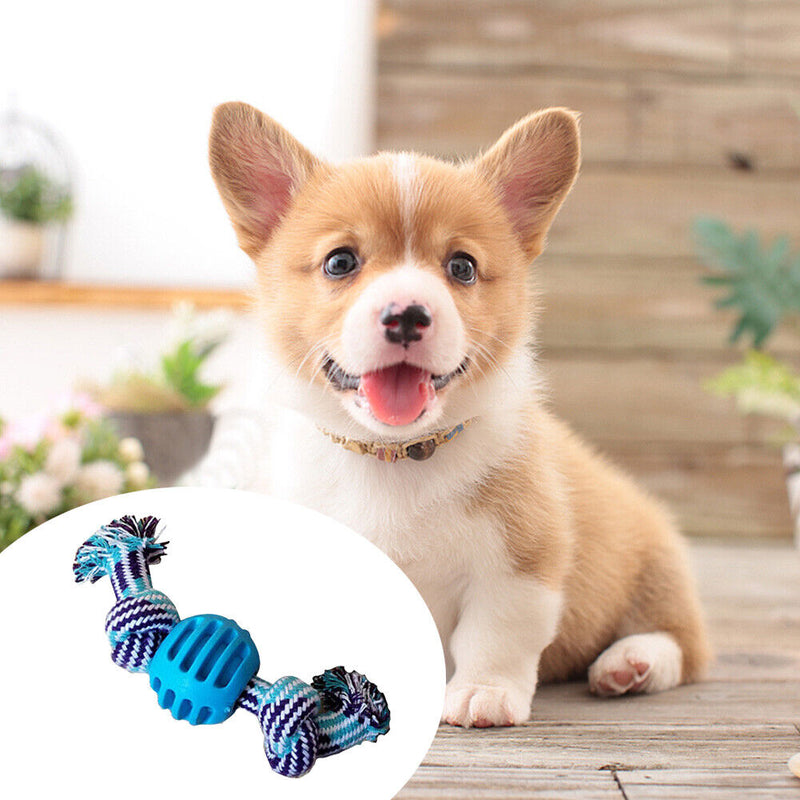 Puppy Bite Resistant Cotton Rope Double Knot Ball Pet Dog Interactive Play Ba