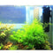 Water Cycle Aquarium Filter Filtration Oxygen Pump UV Sterilizer Purifier