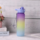 Outdoor Water Bottle with Straw BPA Free Gradient Drinking Cup (Purple)
