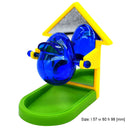 Leakage Food Parrot Mirror Foraging Props Development Intelligence Random C