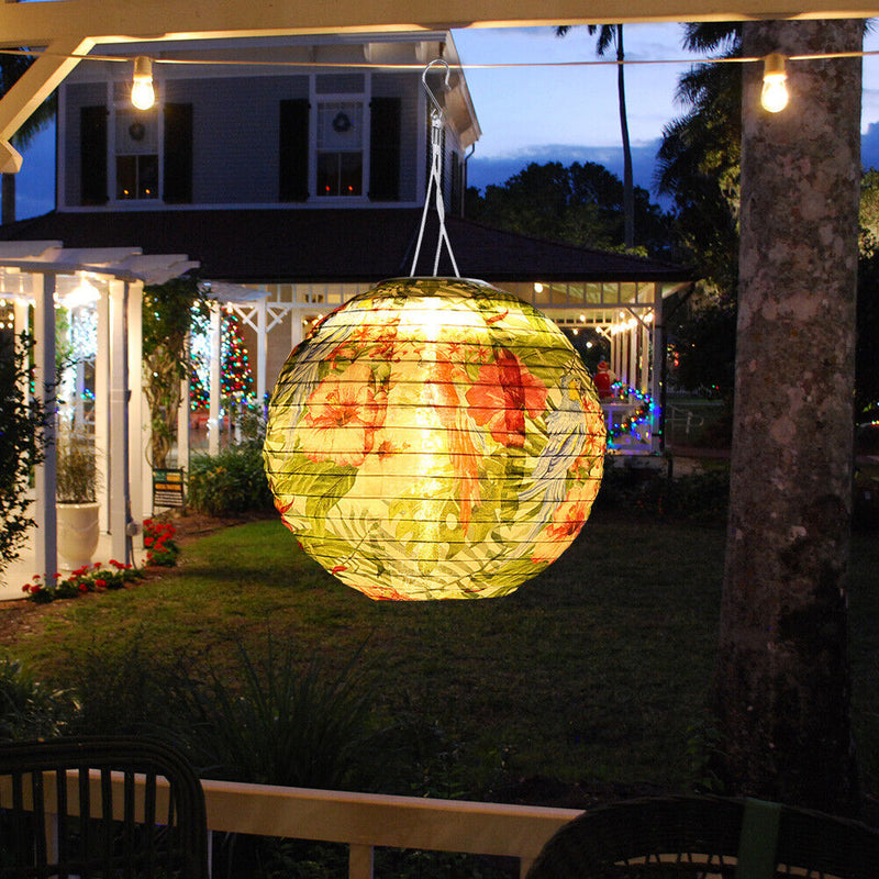 10 inch LED Round Solar Lantern Printed Waterproof Hanging Decor (Parrot A)