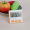 5pcs Multi-function Electric LCD Digital Kitchen Timer Alarm(Orange)