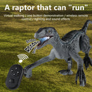 RC Simulation Dinosaur Toys with Lights Walking Roaring Dinosaur (Grey) Newly