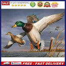 Wild Duck on Lake Oil Paint By Numbers Kit DIY Acrylic Painting on Canvas D