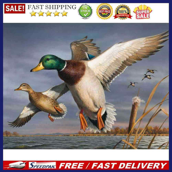 Wild Duck on Lake Oil Paint By Numbers Kit DIY Acrylic Painting on Canvas D