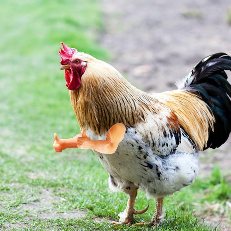 Thumbs Up Chicken Arms Made in Texas Gag Gift Chicken Arms For Chicken HOT I8O1