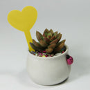 100pcs Plant Markers Garden Vegetable Heart Shape Tag Yard Label (Yellow) Newly