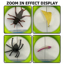 Bug Insect Catcher Viewer Handheld Magnifier Kids Outdoor Exploration Toys