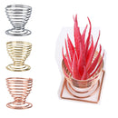 Decorations Organizer Display Stand Plant Holder Air Plants Holders Wall Hanger