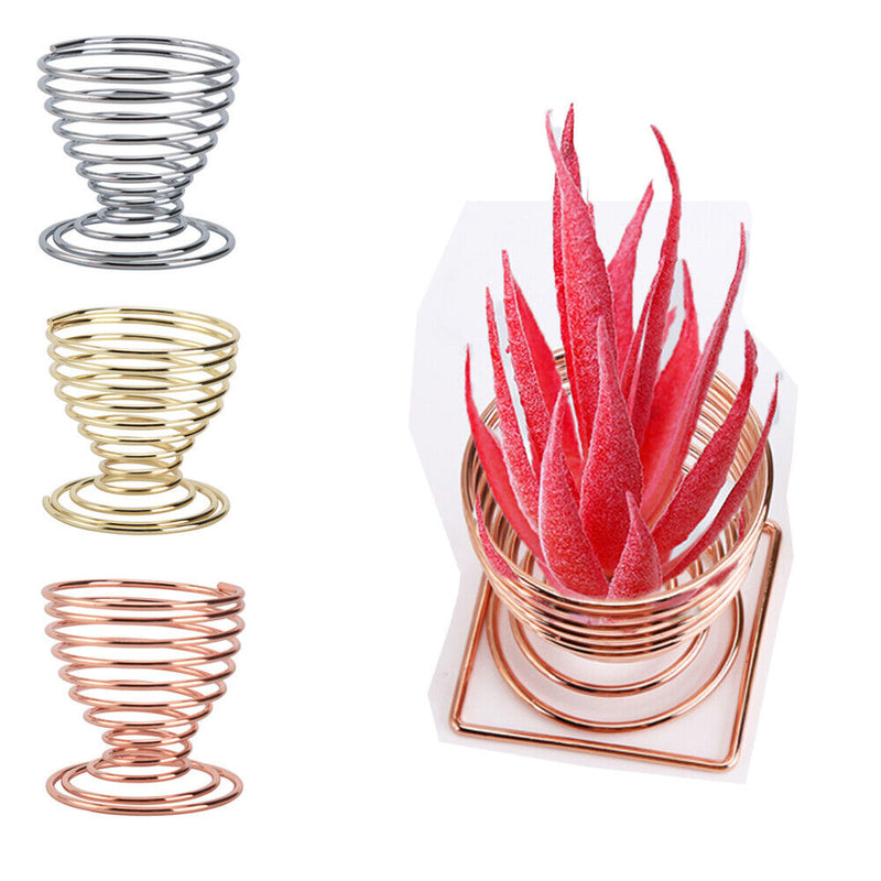 Decorations Organizer Display Stand Plant Holder Air Plants Holders Wall Hanger
