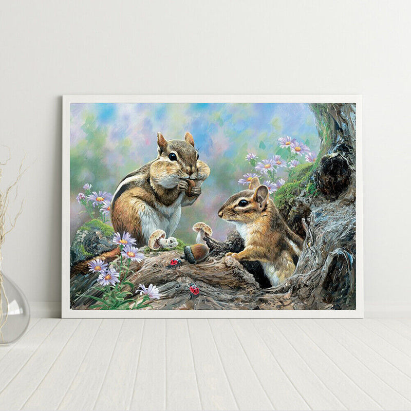 DIY Oil Paint by Numbers Hand Painted Squirrel Drawing Kit Coloring Picture