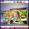 Tiger Oil Paint By Numbers Kit DIY Acrylic Painting on Canvas Drawing Picture