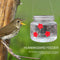 Bird Feeder Hanging Mason Jar Hummingbird Feeder for Patio Garden (Clear)