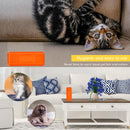 2pcs Pet Hair Remover Brush Hollow Plastic Cat Hair Carpet Cleaning Brush Newly