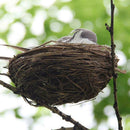 2* Artificial Bird Feathered Realistic Sparrow Home Ornament Decor Garden N9W4