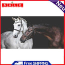 Two Horses Oil Paint By Numbers Kits DIY Handpainted on Canvas Wall Art Pictures