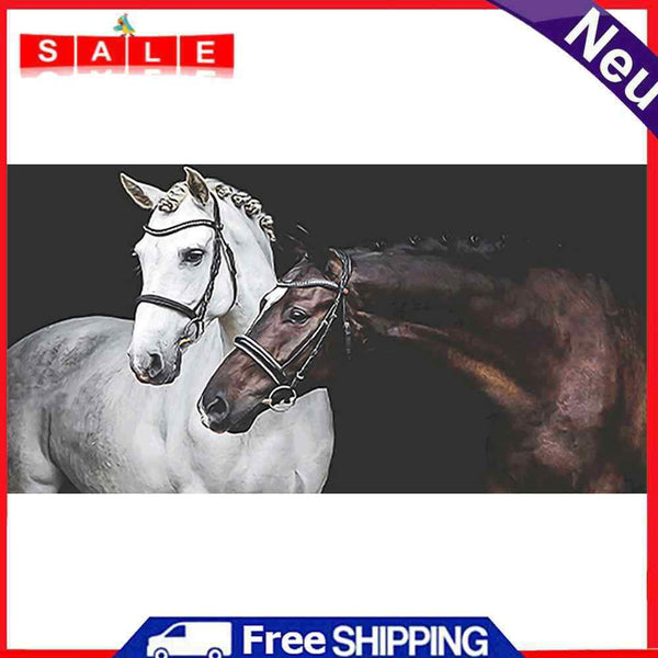 Two Horses Oil Paint By Numbers Kits DIY Handpainted on Canvas Wall Art Pictures