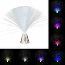 Fiber Optic Light Lamp Colour Changing Sensory Light Base Operated Battery G0C9