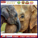 elephant Diamond Painting 5D DIY Full Round Drill Rhinestone Picture