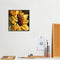 Sunflower 20X20cm Frameless Oil Paint By Numbers DIY Painting Crafts (S558)
