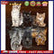 40X50cm Oil Paint By Numbers Cat Maps Out Tiger Frameless Picture Home Deco