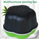 Home Kitchen Sprouter Bean Sprouts Maker Growing Hydroponic Nursery BEST I E6B4