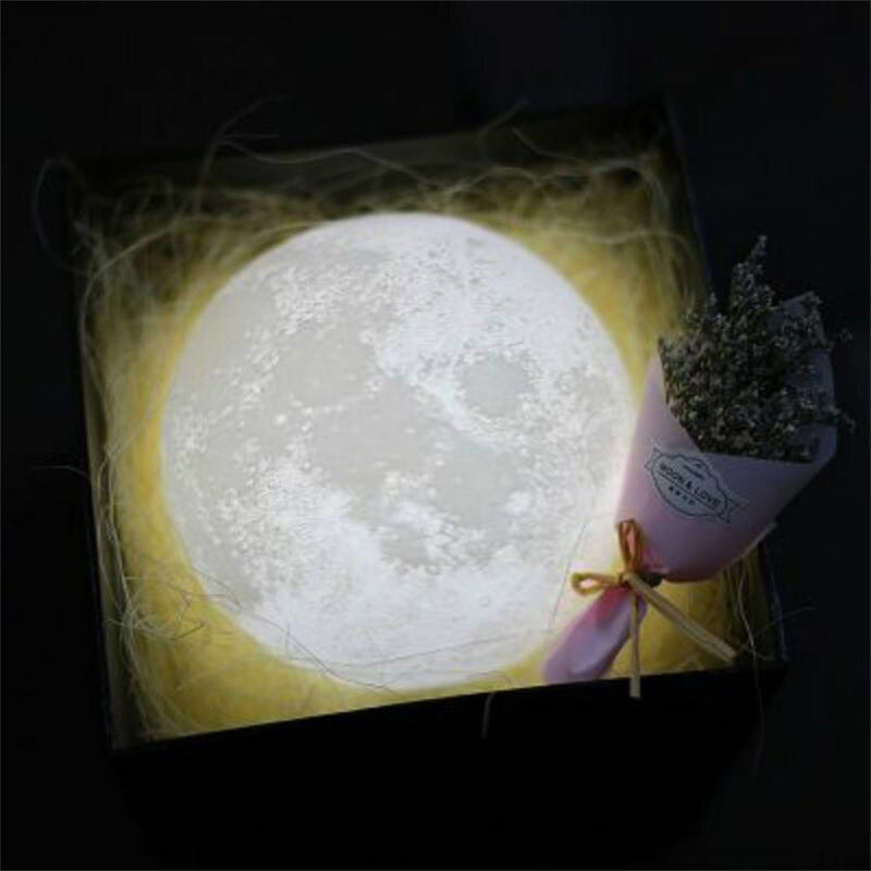 Decoration Indoor Ornament Indoor Lighting Luminaires LED Night Light Moon Lamp