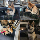 Anti-UV Sunglasses Pet Dog Sunscreen Pet Waterproof Sunglasses Supplies M6I8