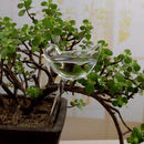 Transparent Bird Travel Flower Waterer Bulb Car Drip Irrigation Device (A)