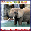Wading Elephant Oil Paint By Numbers DIY Handpainted on Canvas Home Decorations