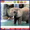 Wading Elephant Oil Paint By Numbers DIY Handpainted on Canvas Home Decorations