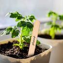 #A 50Pcs Plant Labels - DIY Nursery Garden Markers for Seedling Vegetable Herb