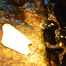 1 bag Cuttlebone Cuttlefish Bone Sepia Cuttle Fish Food Pickstone Calcium N3Z3