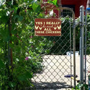 Retro Chicken Letters Metal Plate Painting for Bar Pub Tin Plaque Wall Sign