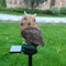 Solar LED Lawn Lights Owl Outdoor Landscape Statue Night Lamp (Dark Brown) Newly