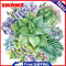 5D DIY Full Round Drill Diamond Painting Succulent Cross Stitch Craft Needlework